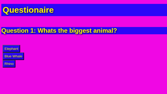 Questionaire website preview